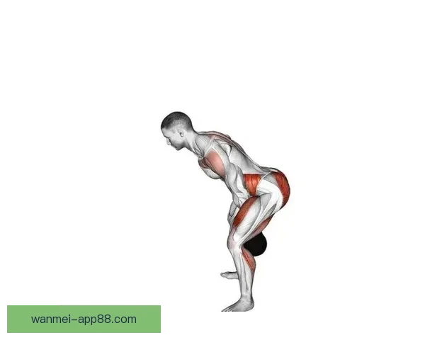 完美体育推荐助力你成为运动达人提升训练效果与技巧